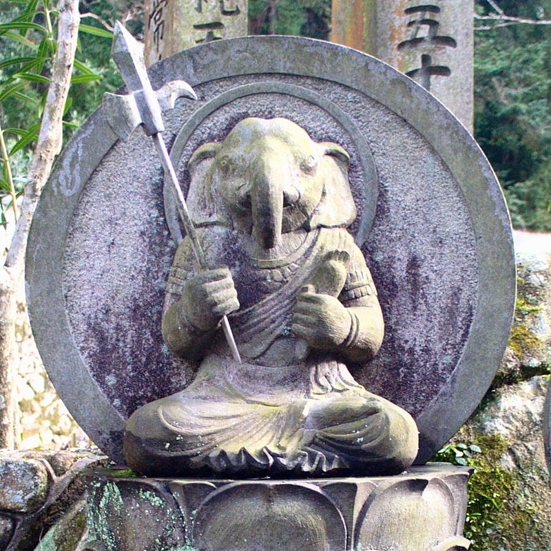 Guiding Light: Purpose of culture