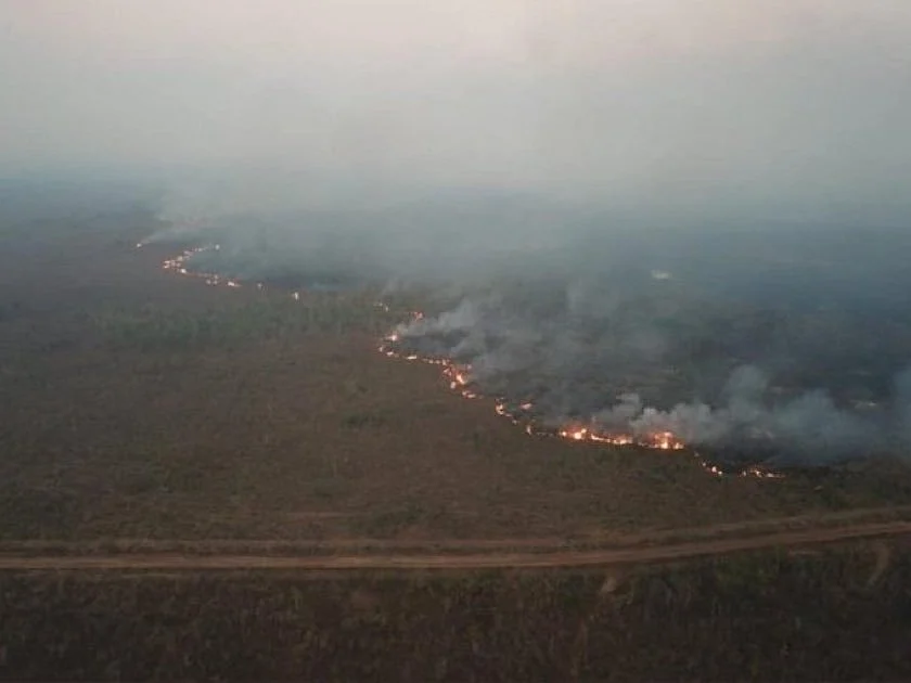 In Pics: Fires in Amazon rainforest rage at record rate
