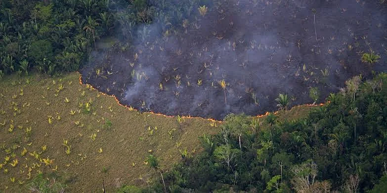 In Pics: Fires in Amazon rainforest rage at record rate