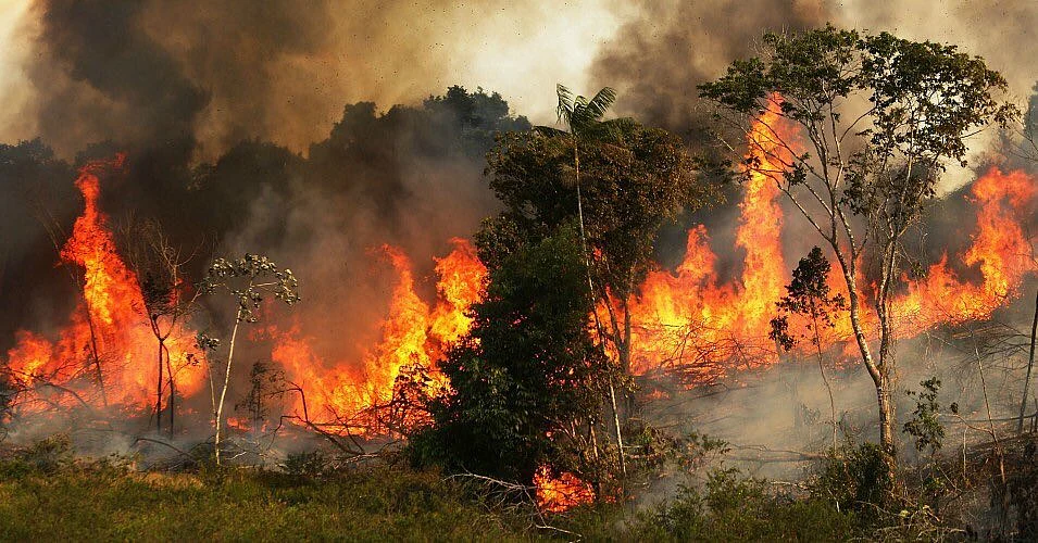 In Pics: Fires in Amazon rainforest rage at record rate