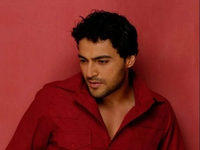 12 Years of Dil Mil Gaye: Here’s how the teenage fandom stars look now