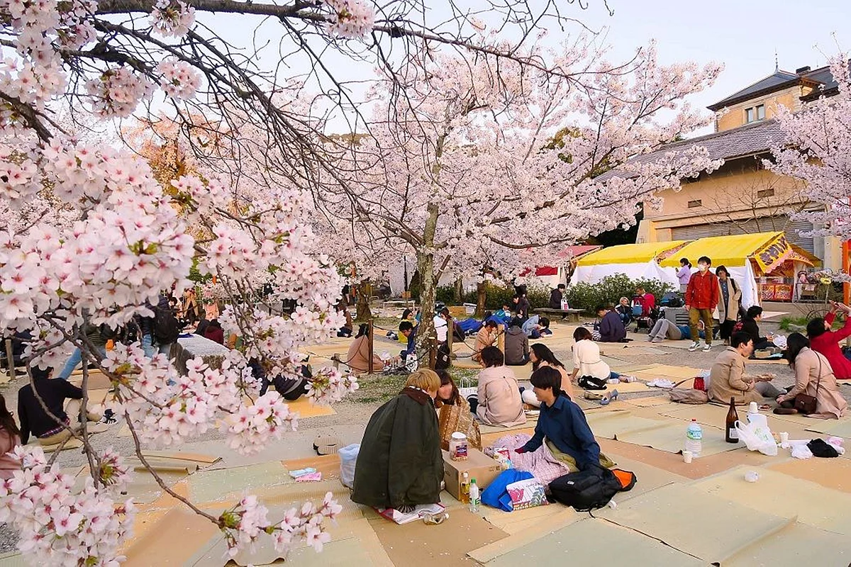 Know the ancient traditions of Japanese drink ‘sake’