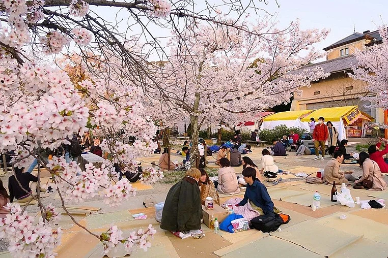 Know the ancient traditions of Japanese drink ‘sake’