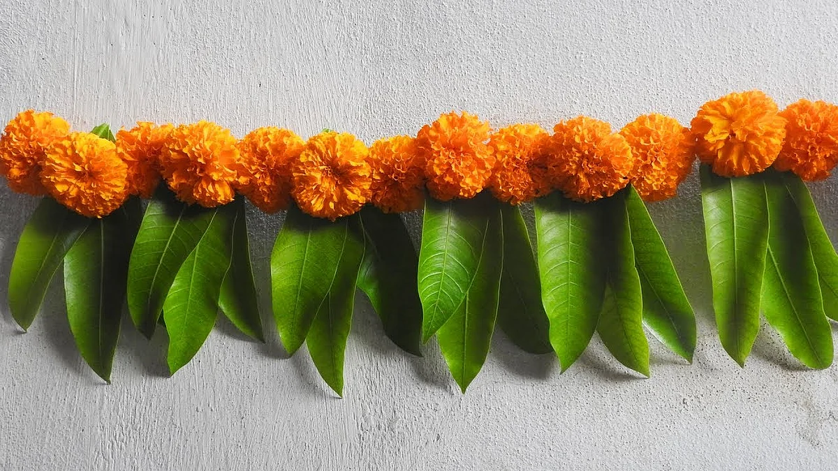 Make your house Navratri ready with these simple and classic decoration ideas