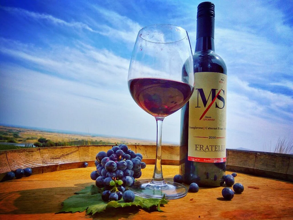 What wines are best for the Indian palette? India's only Master of Wine Sonal Holland gives us the lowdown