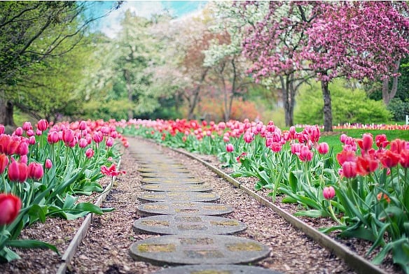 Creative Landscaping Ideas For Your Small Backyard