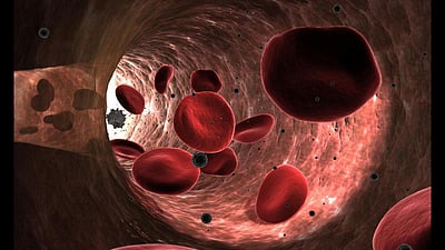 Study Reveals Women S Blood Vessels Age Faster Than Men S