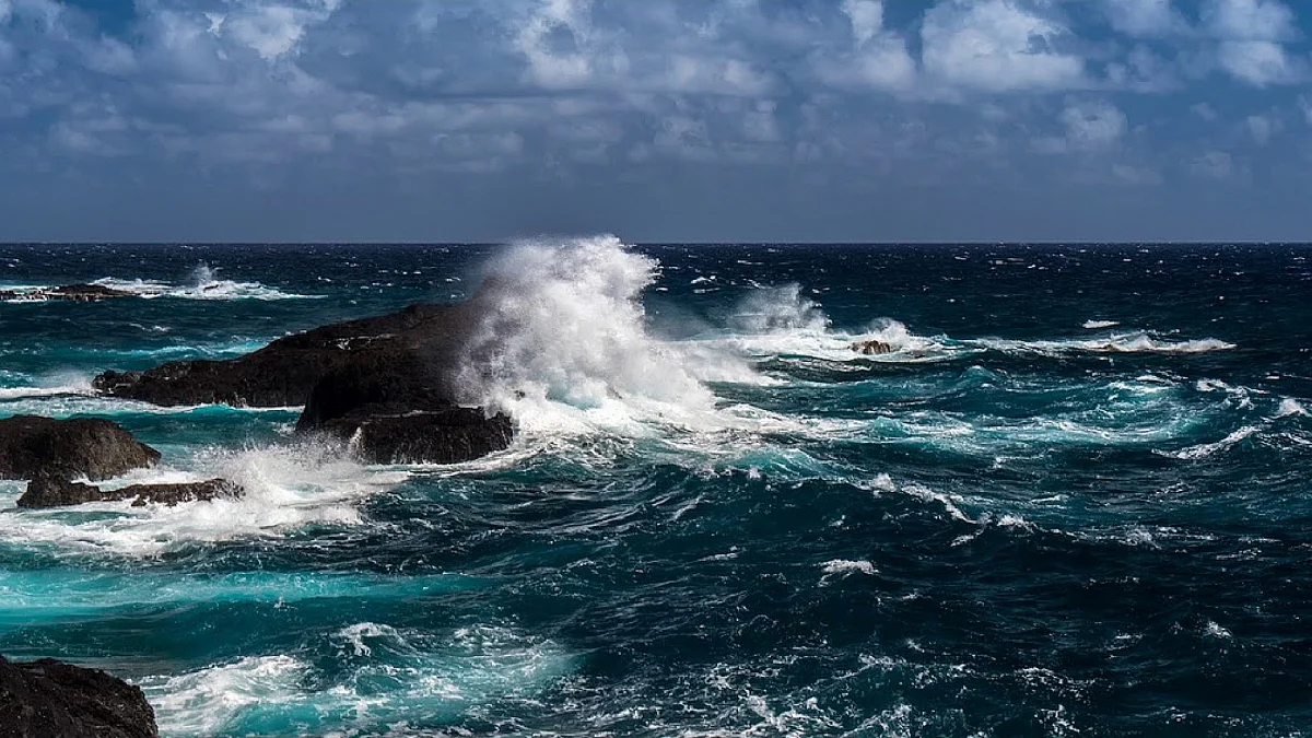 World's oceans continue to warm, despite reduced carbon emissions - Free Press Journal