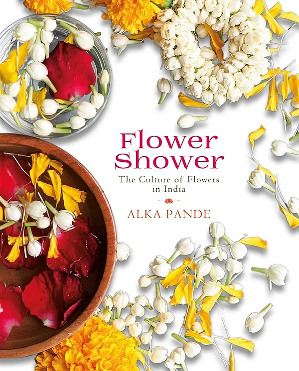 Book Review: A thing of beauty