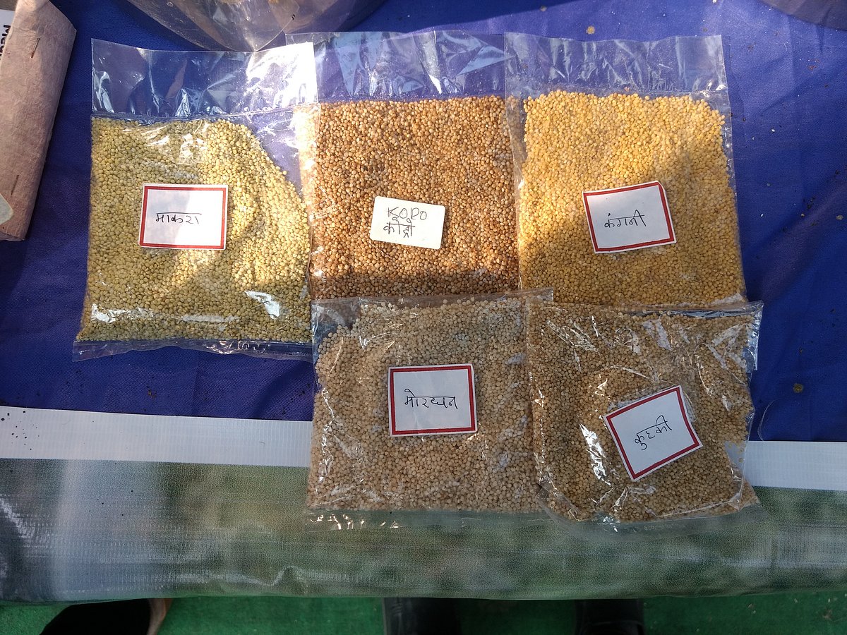 Organic Expo-2020 inaugurated in Indore: Bamboo rice, millets, red maize attracting organic foodies