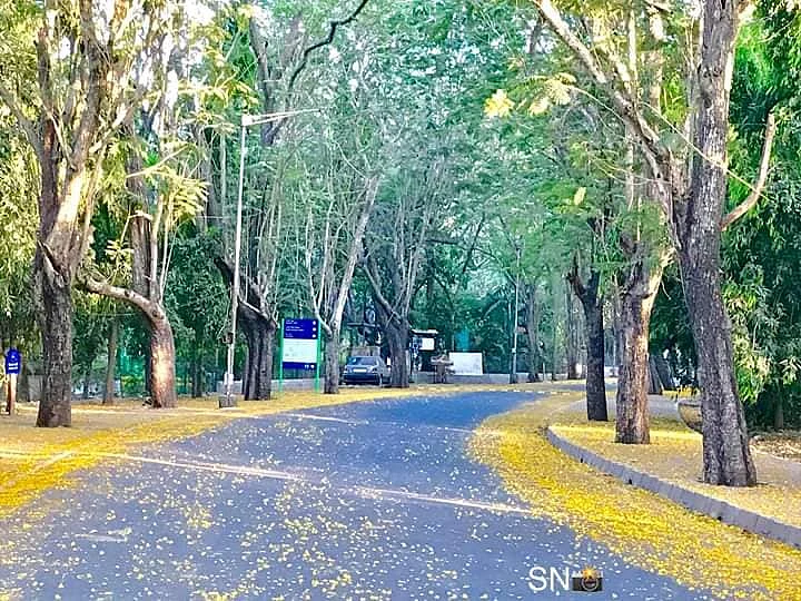 Mother celebrates lockdown: Check out beautiful pics of Sanjay Gandhi National Park
