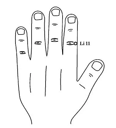 To improve metabolism, paste one or two moong beans with help of adhesive tape on the point Li 11, which is on the second joint of left hand index finger