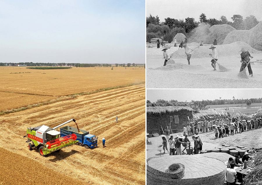 In Pics Changes of China's agricultural production in the past decades