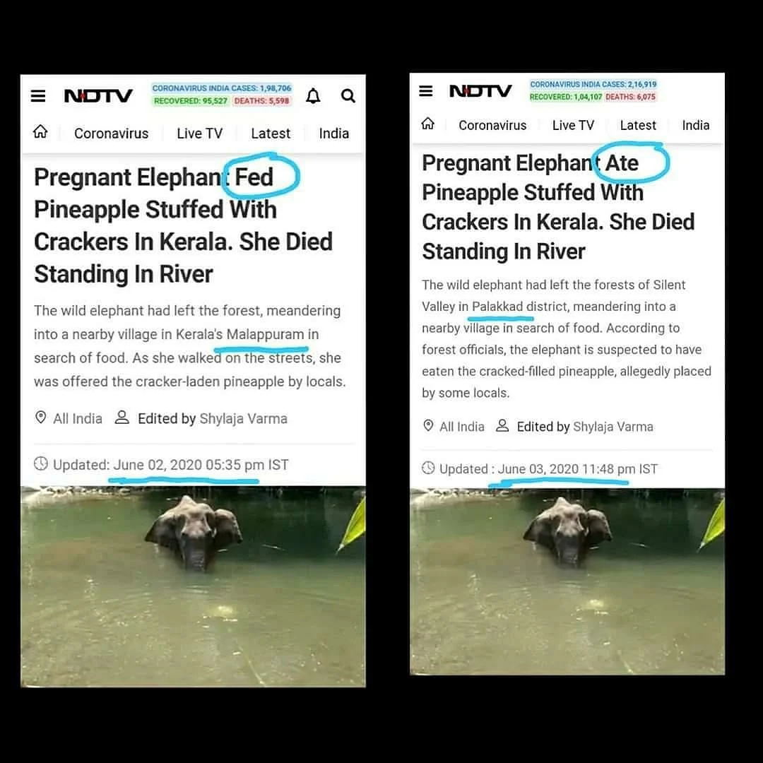 Kerala Elephant Death: Priti Gandhi's open letter to Justice Katju
