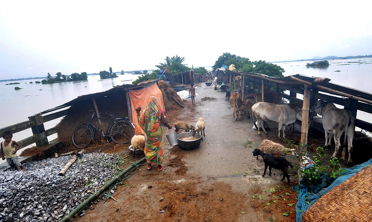 In pics: Floods wreak havoc in 33 districts of Assam