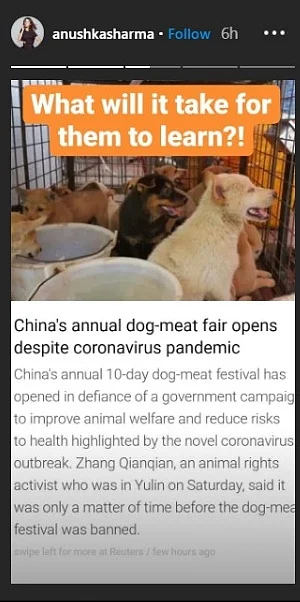 Anushka Sharma criticizes China's controversial dog meat festival Yulin: 'What will it take for them to ?'