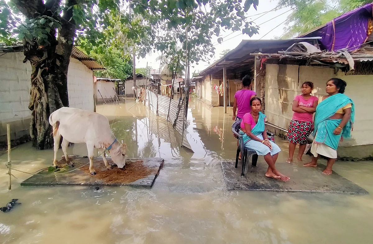 In pics: Floods wreak havoc in 33 districts of Assam