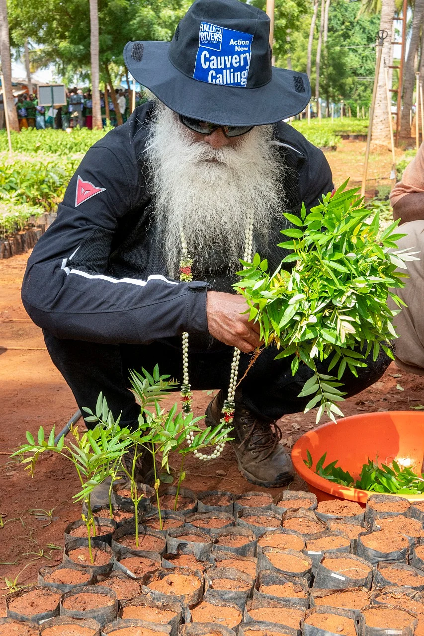 Sadhguru while plating saplings.