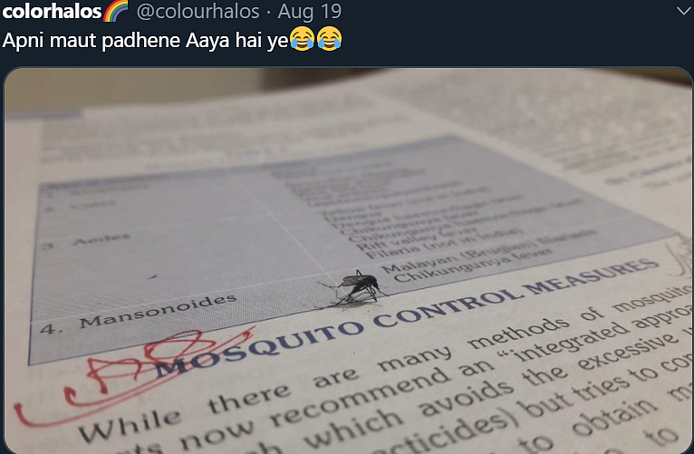 FPJ Fun Corner: Best WhatsApp jokes and memes to lighten your mood amid COVID-19 on August 22, 2020
