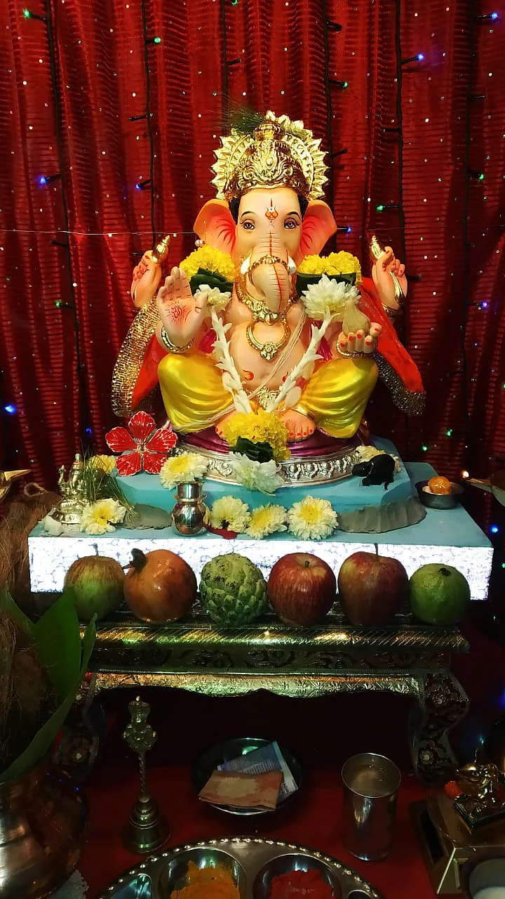 FPJ's Eco Ganesha Day 1: Check out participants featured on Free Press Journal newspaper