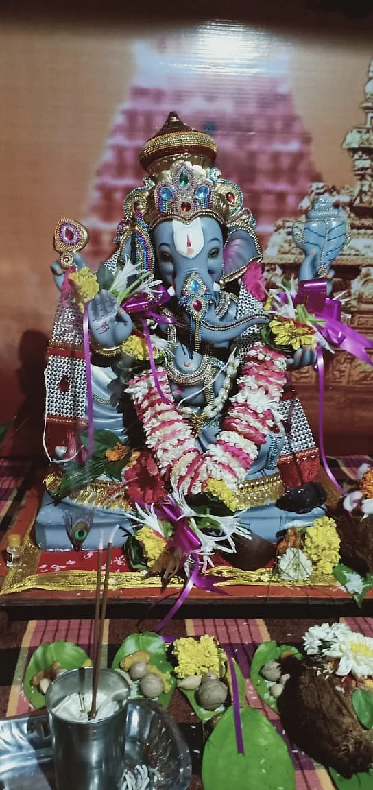 FPJ's Eco Ganesha Day 1: Check out participants featured on Free Press Journal newspaper