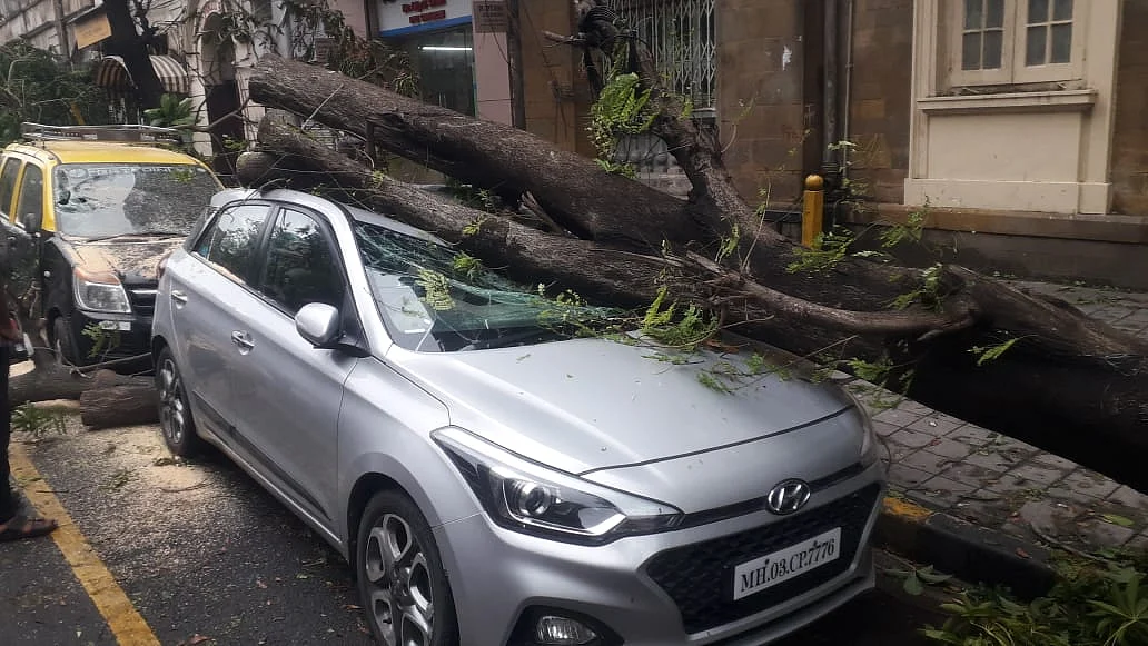 Tree falls on car at Princess street near Marine Lines