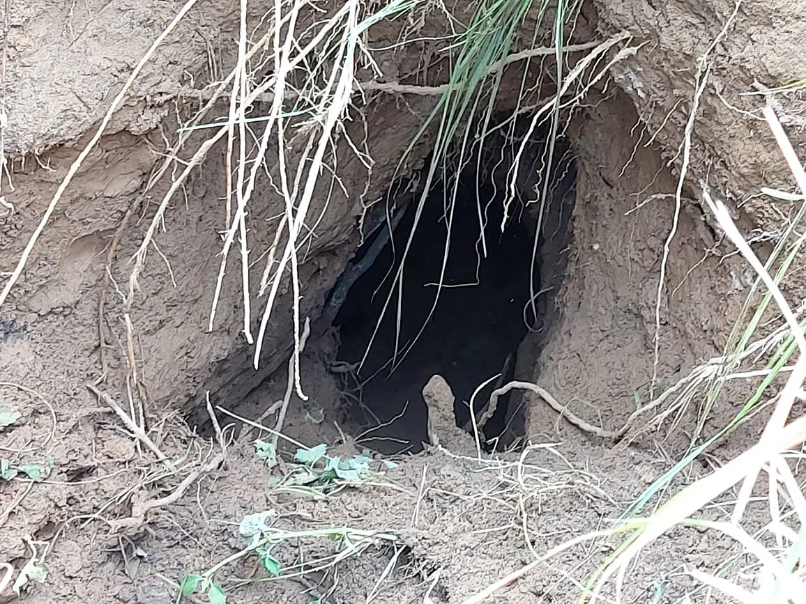 BSF finds tunnel along Indo-Pak border in J&K
