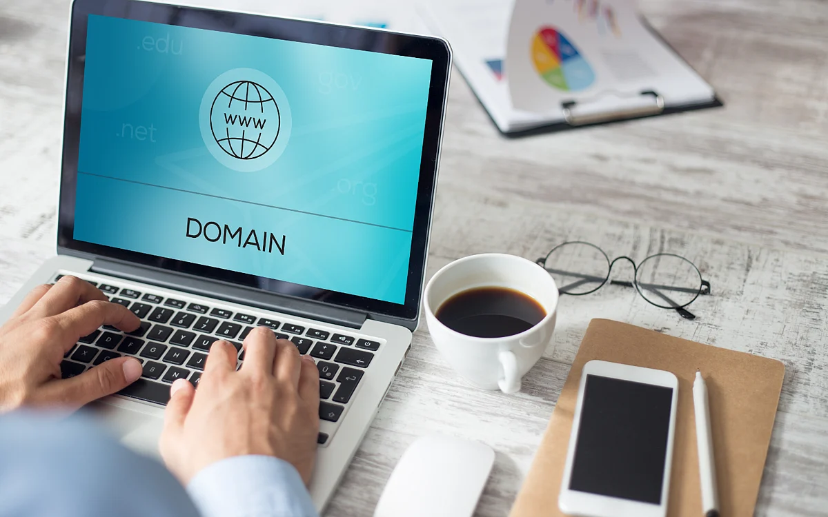 The Most Popular Business TLDs in India