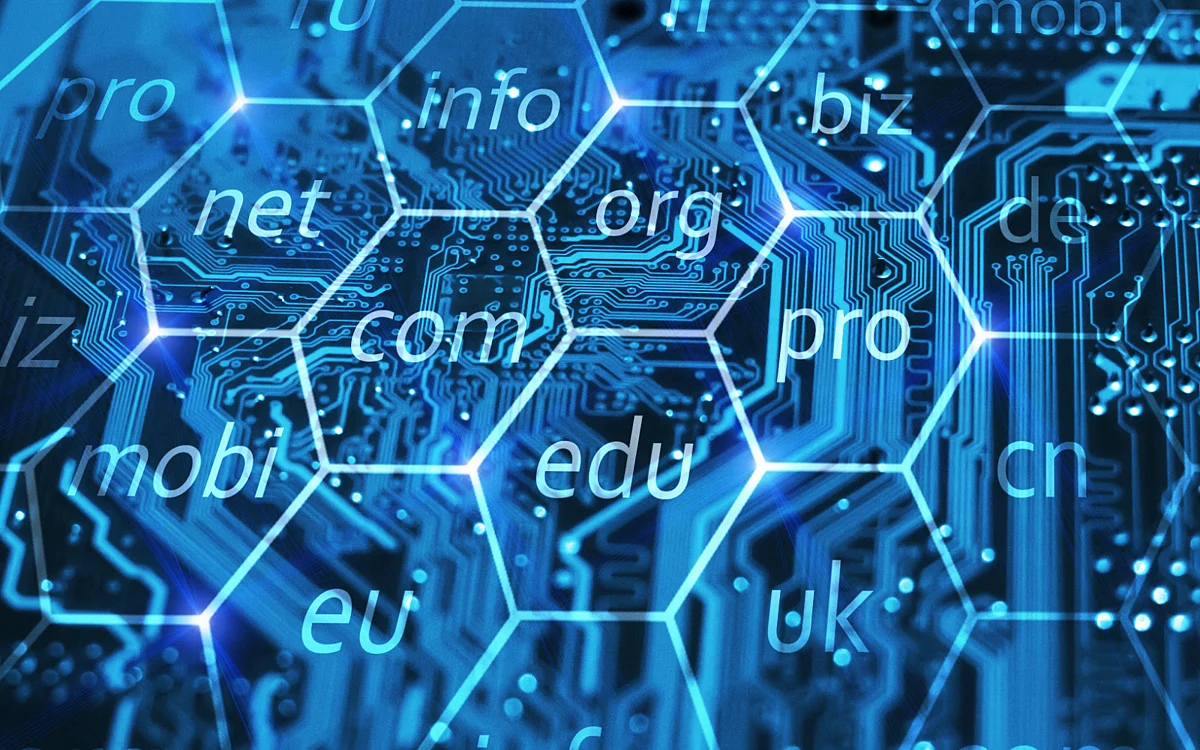 The Most Popular Business TLDs in India