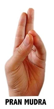 Simply Su-Jok: Know how you can strengthen your heart and lungs