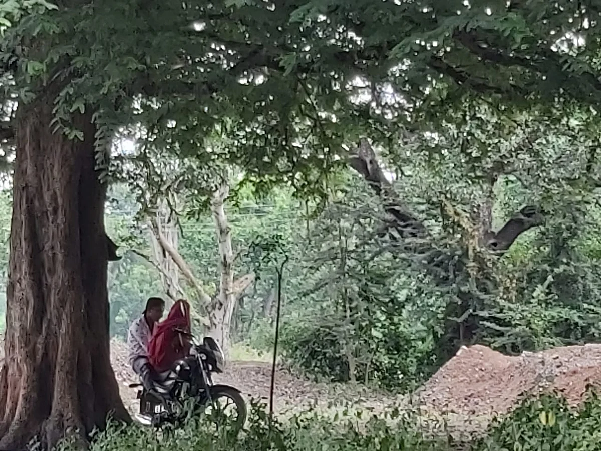 Indore: Laal Bagh; Lovers’ paradise, antisocial elements have a field day