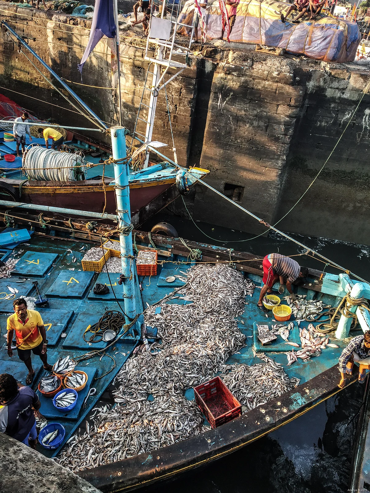 Mumbai's fishermen are turning 'Aapada' into 'Aavsar'