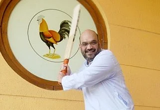 In 2014, after Shri Narendra Modi became the Prime Minister of India, Amit Shah was appointed the President of Gujarat State Cricket Association.