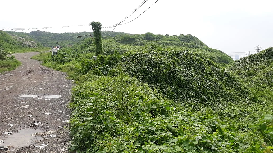 Mulund: From wasteland to greenhouse; journey of a dumpyard