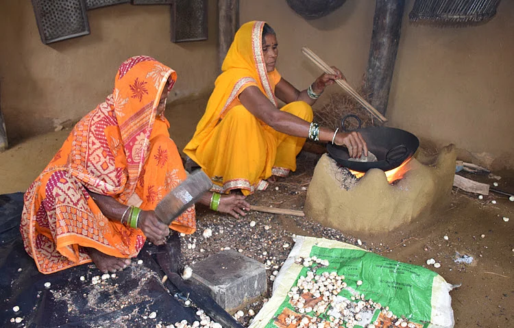 Art of making Makhana: Watch this exhibit by IGRMS showing traditional technique of making fox nut