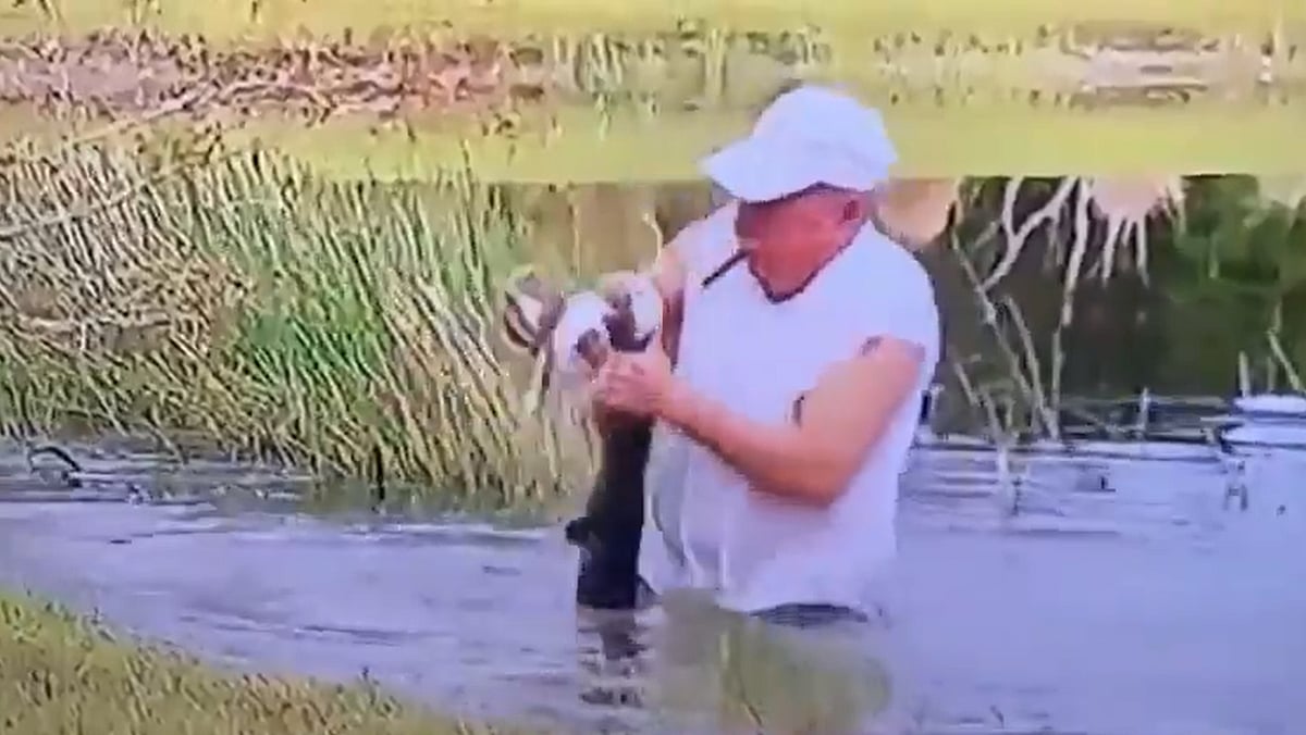 Watch US man wades into pond, wrestles pet dog away from the jaws of