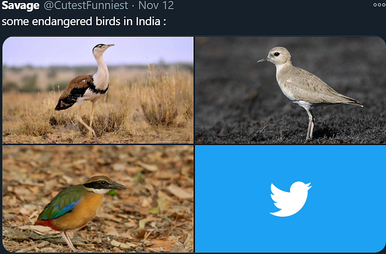 FPJ Fun Corner: Best WhatsApp jokes and memes to lighten your mood amid COVID-19 on November 14, 2020