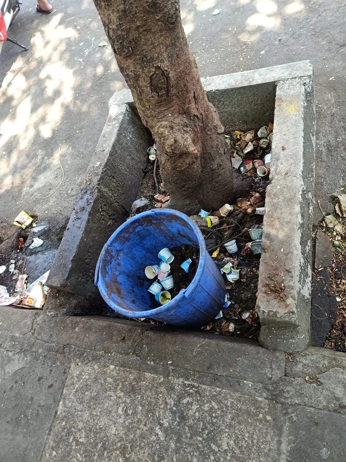 In Pictures: Tree guards turn garbage dumps in Bhayandar