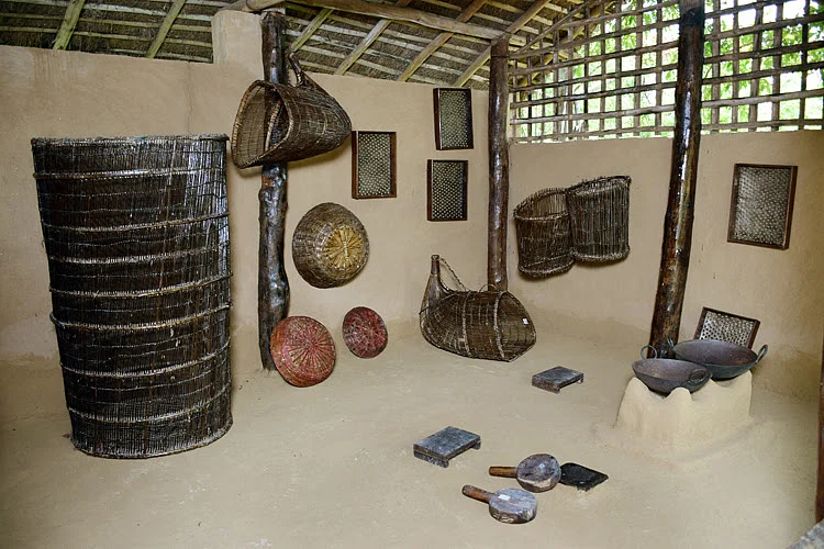 Art of making Makhana: Watch this exhibit by IGRMS showing traditional technique of making fox nut
