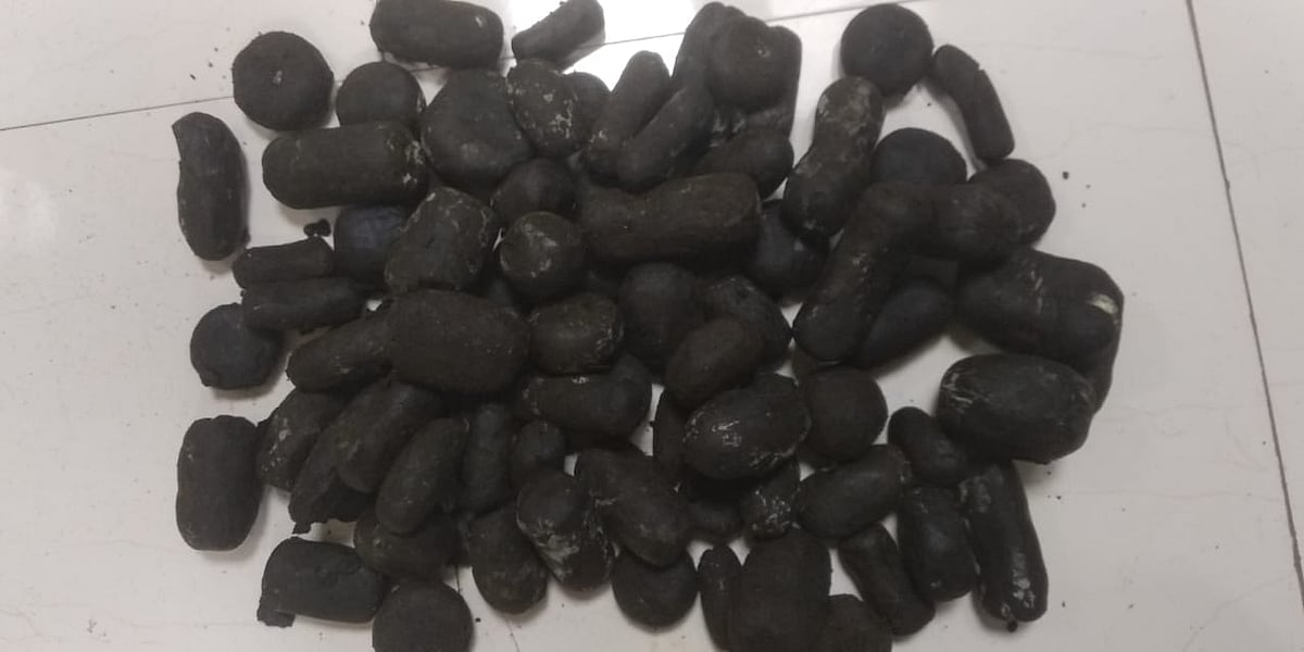 Thane crime watch: NCB seized hasish and marijuana, one held