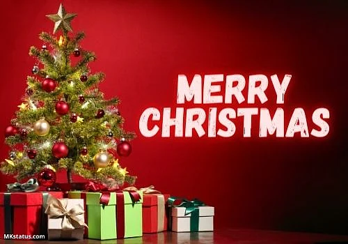 Christmas 2020: Wishes, Greetings, SMS, Quotes, and Messages to share on WhatsApp, Facebook, Instagram