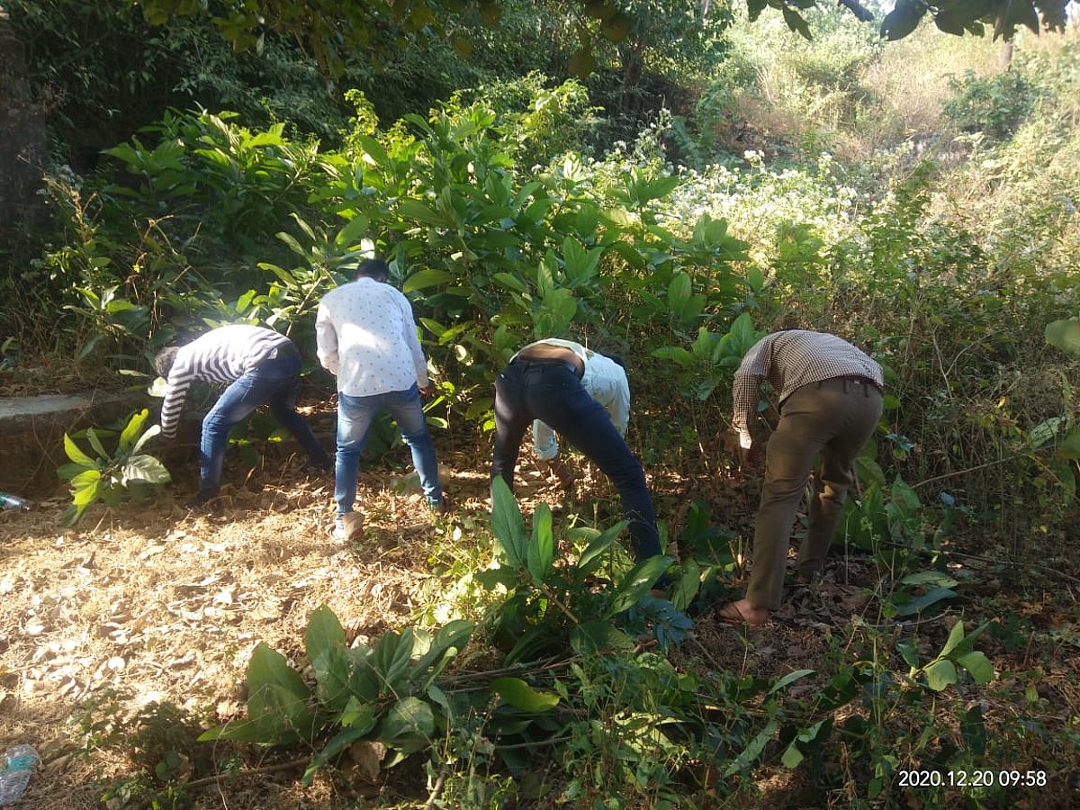 Mira Bhayandar: Youngsters come to the rescue of crumbling Dharavi Fort in Uttan - Vimarsana News