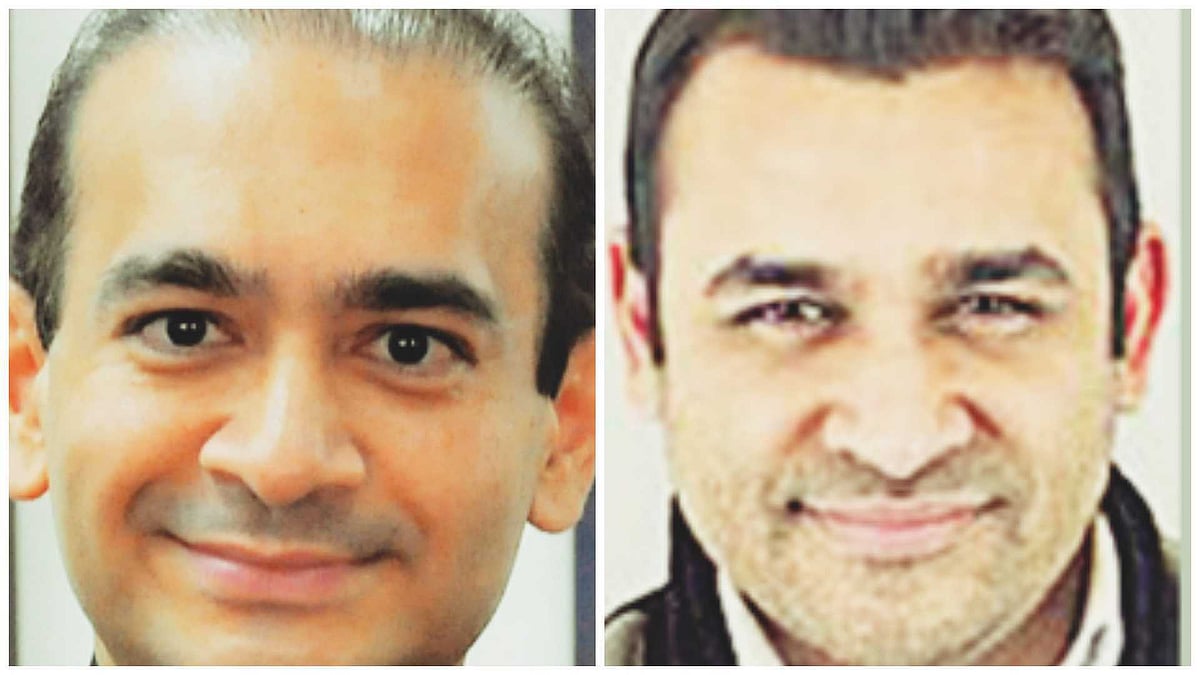 US: Fugitive Nirav Modi's brother Nehal Modi charged in $2.6mn fraud in New York - Vimarsana News