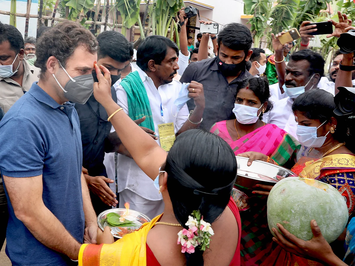 Rahul Gandhi visits Tamil Nadu to watch Jallikattu; celebrates Pongal
