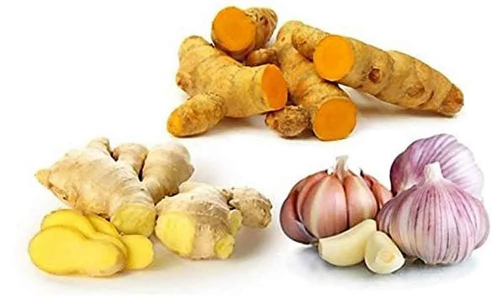 Prevent bird flu with this natural and ayurvedic tips