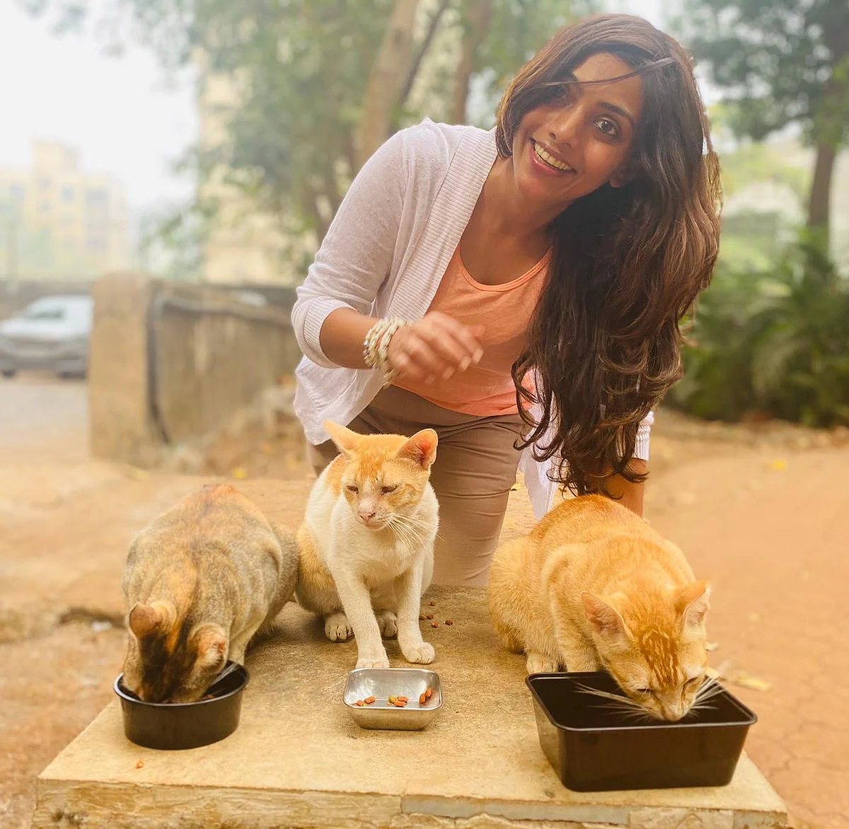 Angels of Mumbai: The 'Catwoman' who feeds strays with a hope to bring change