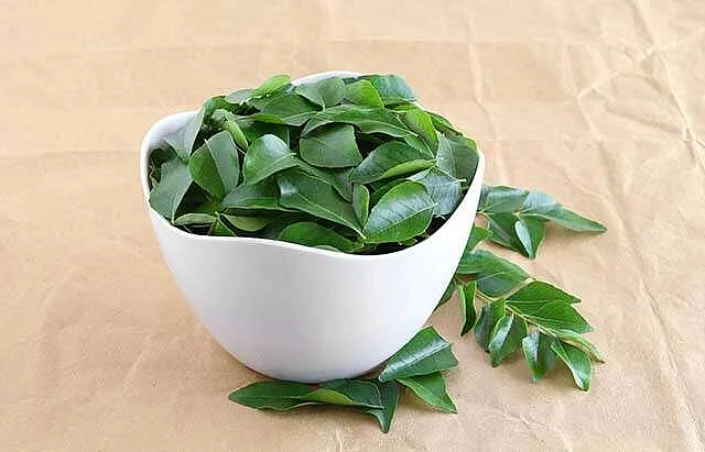 Foods that can help prevent your hair fall