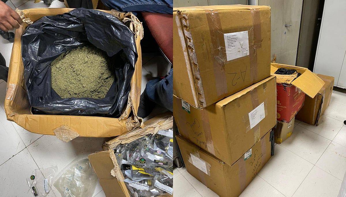 Mumbai: NCB seizes whopping 200 kg of marijuana; British national among three arrested 