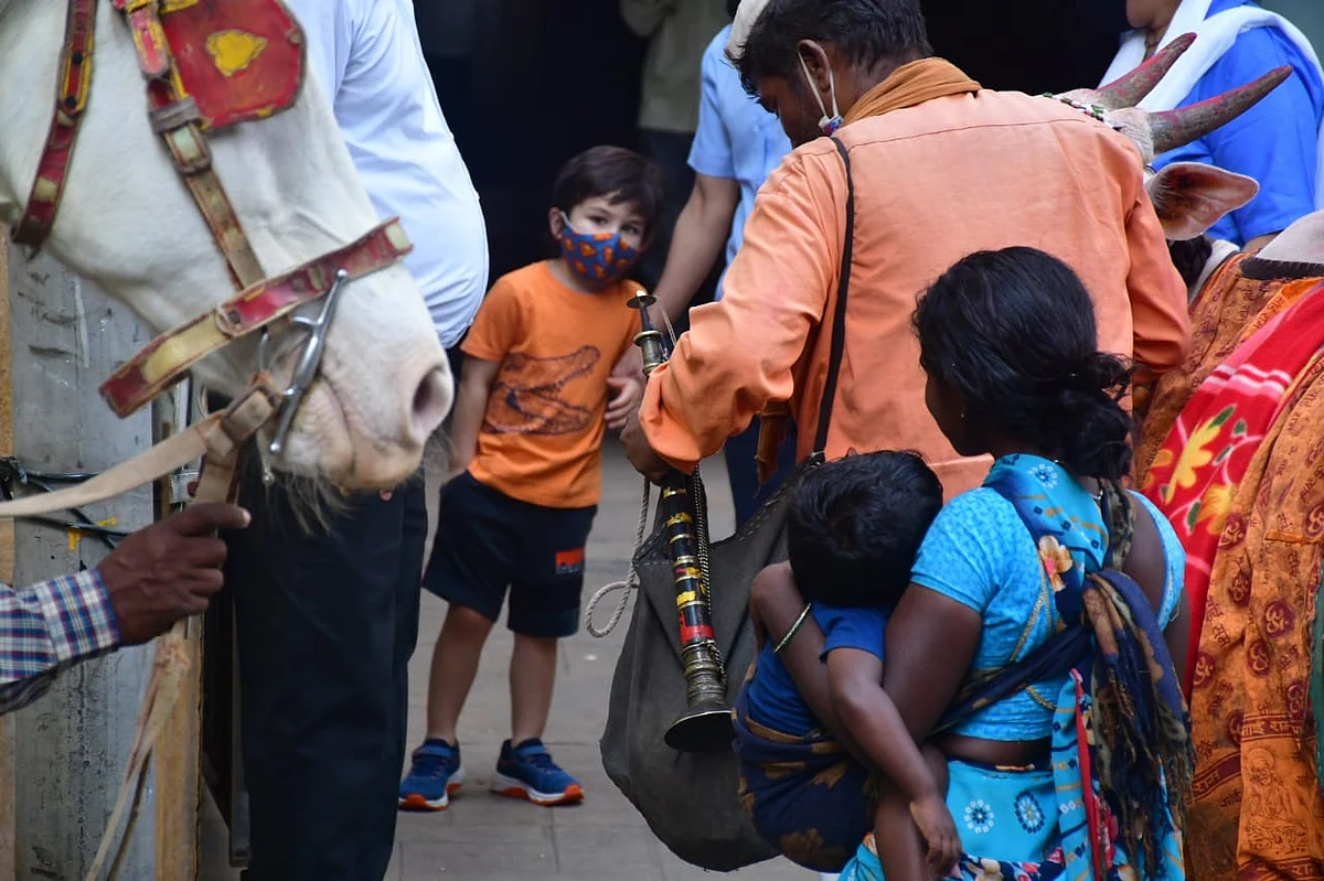 Watch: Taimur Ali Khan enjoys father Saif's 'Ole Ole' song as he feeds cow outside their Bandra residence
