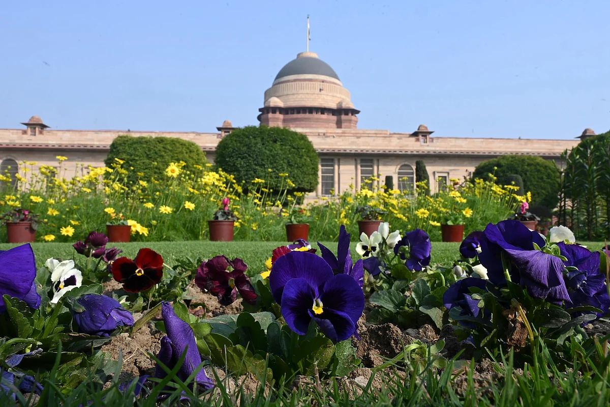 Flowers bloom at the Mughal Gardens of the Indian Presidential Palace in New Delhi.